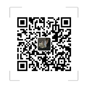 银川谓卢童股份有限公司